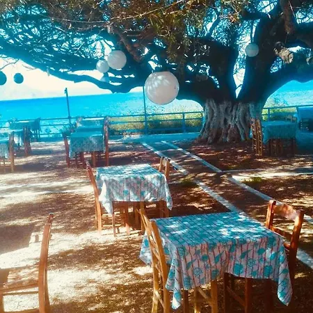 Camping Kato Alissos Campingplatz *