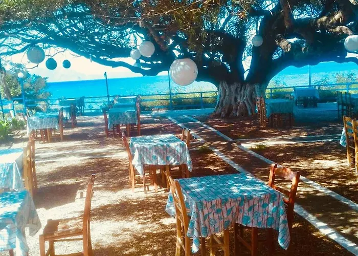 Camping Kato Alissos אתר קמפינג *